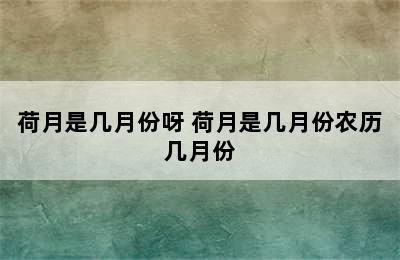 荷月是几月份呀 荷月是几月份农历几月份